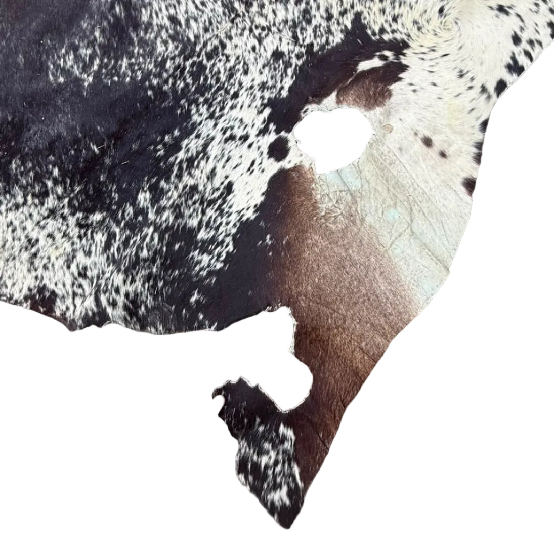 BLACK & WHITE NGUNI SKIN