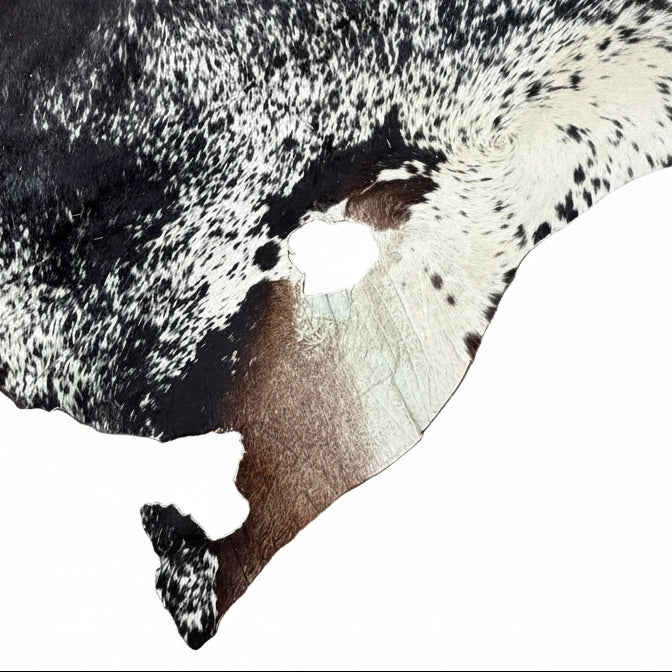BLACK & WHITE NGUNI SKIN