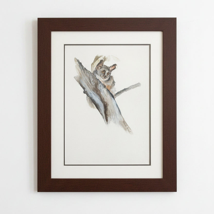 BUSHBABY FRAMED ARTWORK