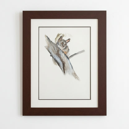 BUSHBABY FRAMED ARTWORK