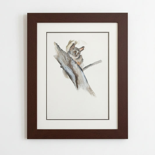 BUSHBABY FRAMED ARTWORK