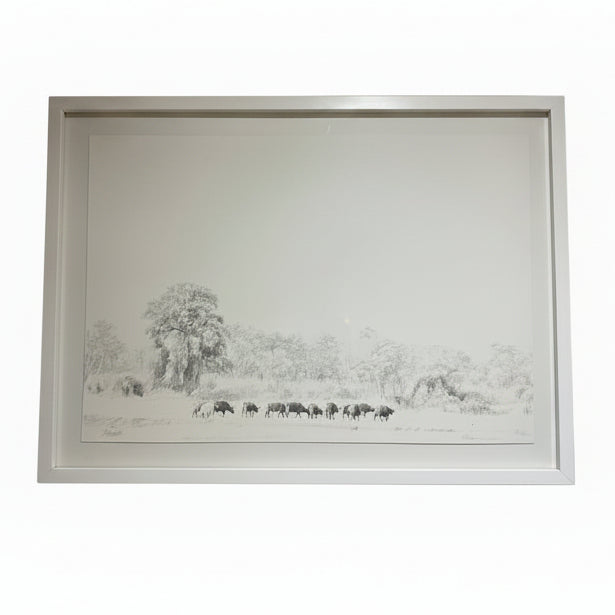 CAPE BUFFELO FRAMED
