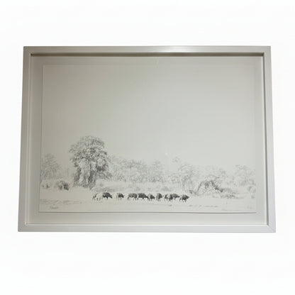 CAPE BUFFELO FRAMED