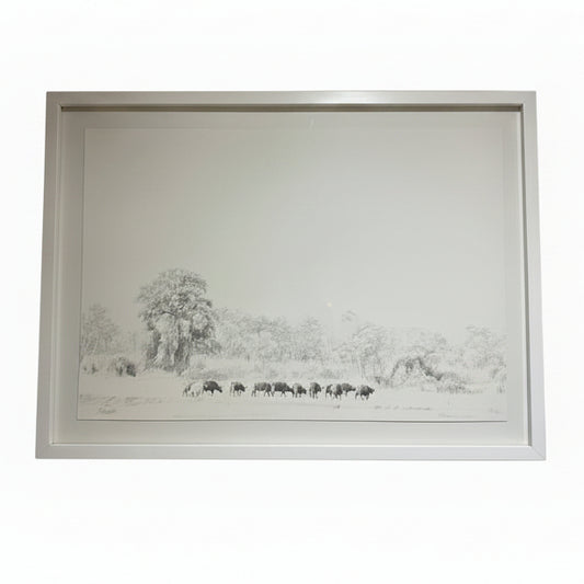 CAPE BUFFELO FRAMED