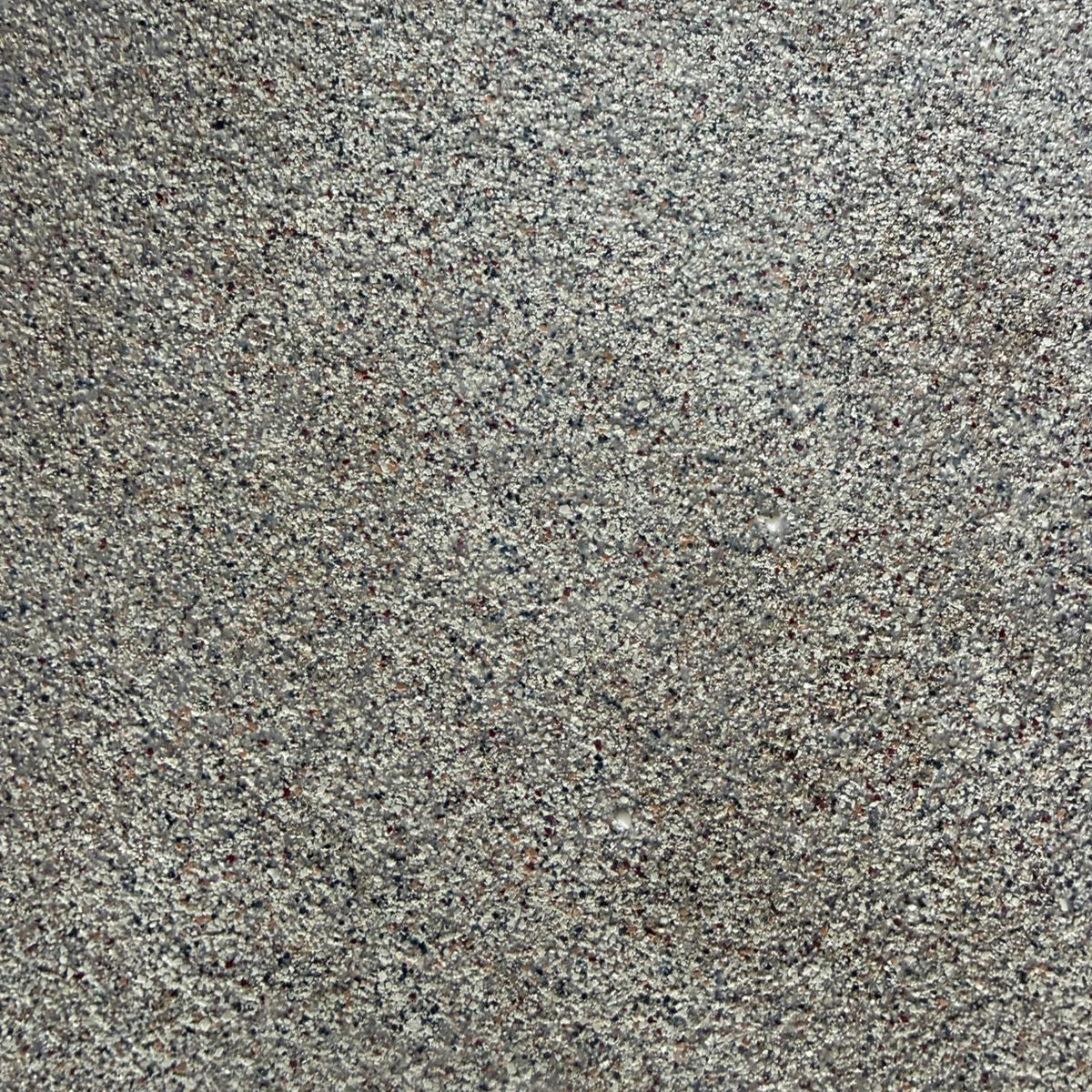 Close-up of grayish-brown textured surface