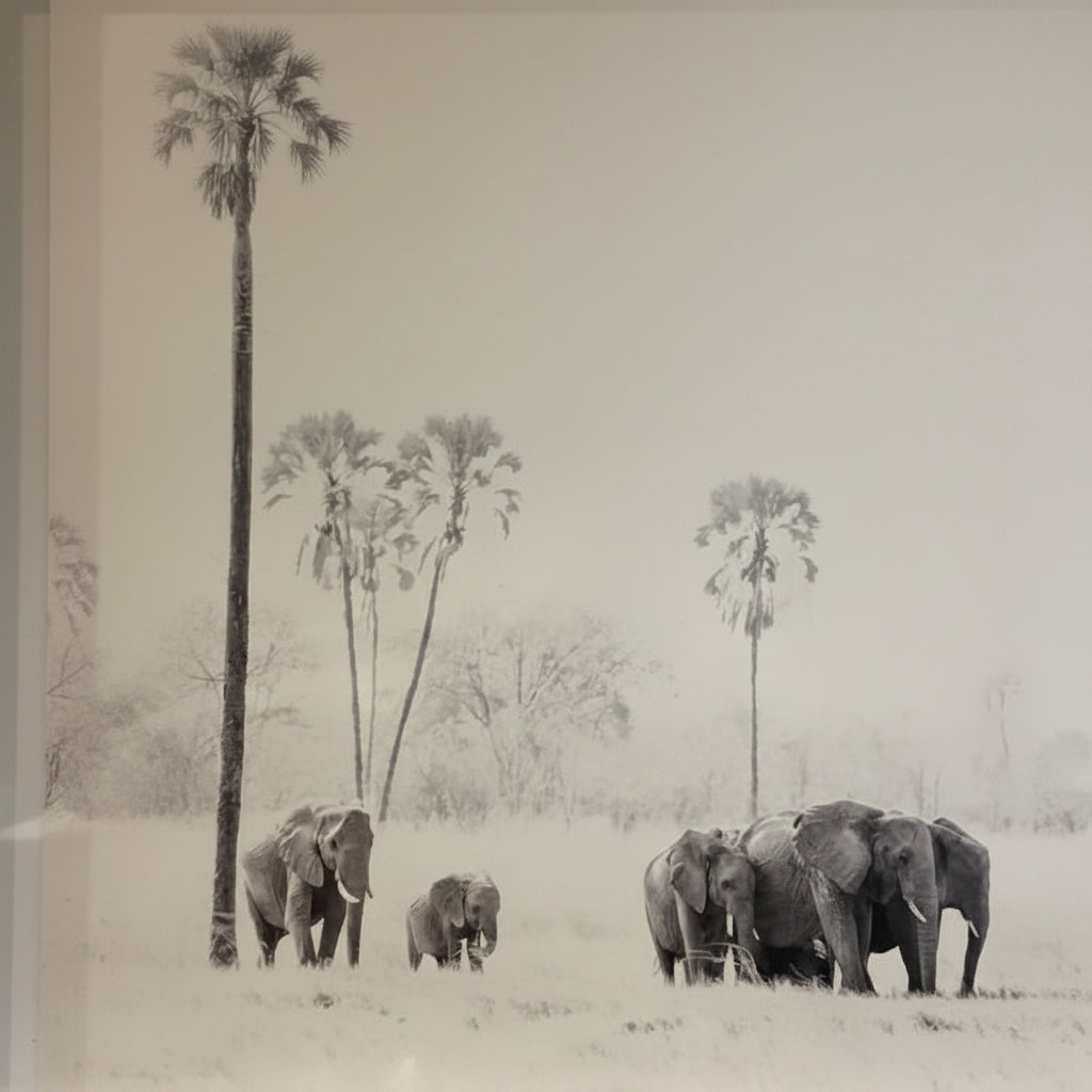 ELLIES WITH ILALA PSALMS FRAMED