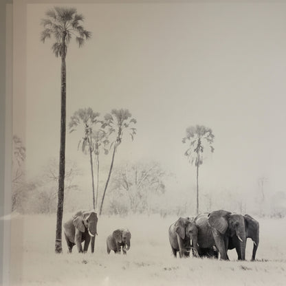 ELLIES WITH ILALA PSALMS FRAMED