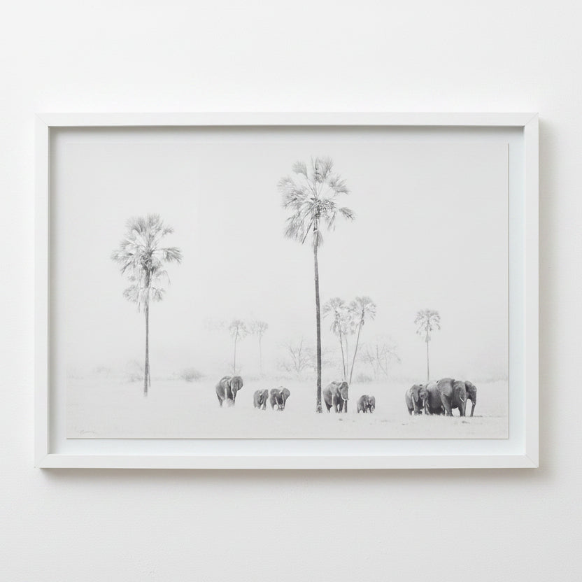 ELLIES WITH ILALA PSALMS FRAMED