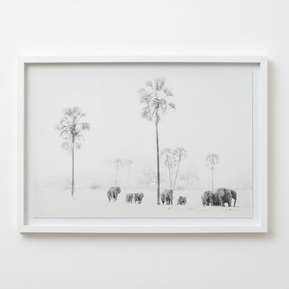 ELLIES WITH ILALA PSALMS FRAMED