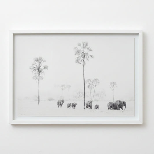ELLIES WITH ILALA PSALMS FRAMED