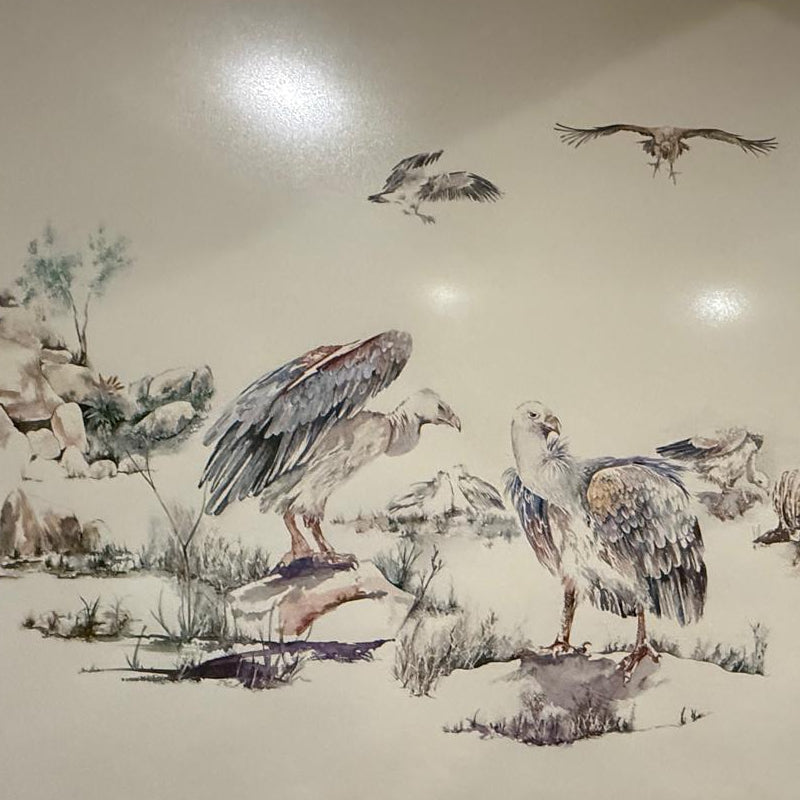 FRAMED VULTURE ARTWORK