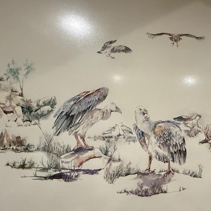 FRAMED VULTURE ARTWORK