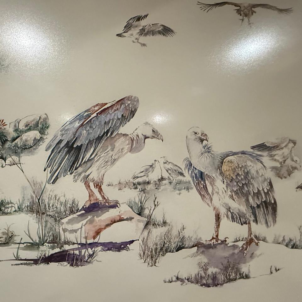 FRAMED VULTURE ARTWORK