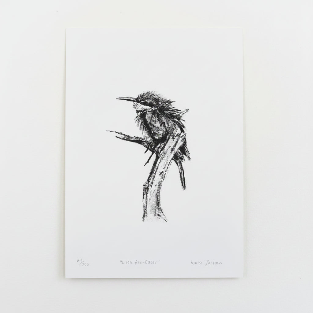 LITTLE BEE EATER