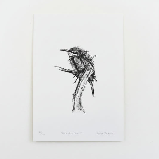 LITTLE BEE EATER