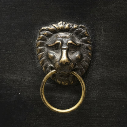 Metallic surface with lion head door handles