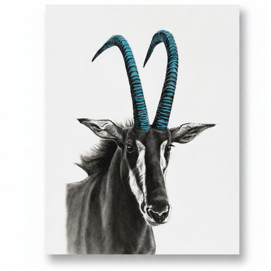 SABLE WITH BLUE HORNS (UNFRAMED)