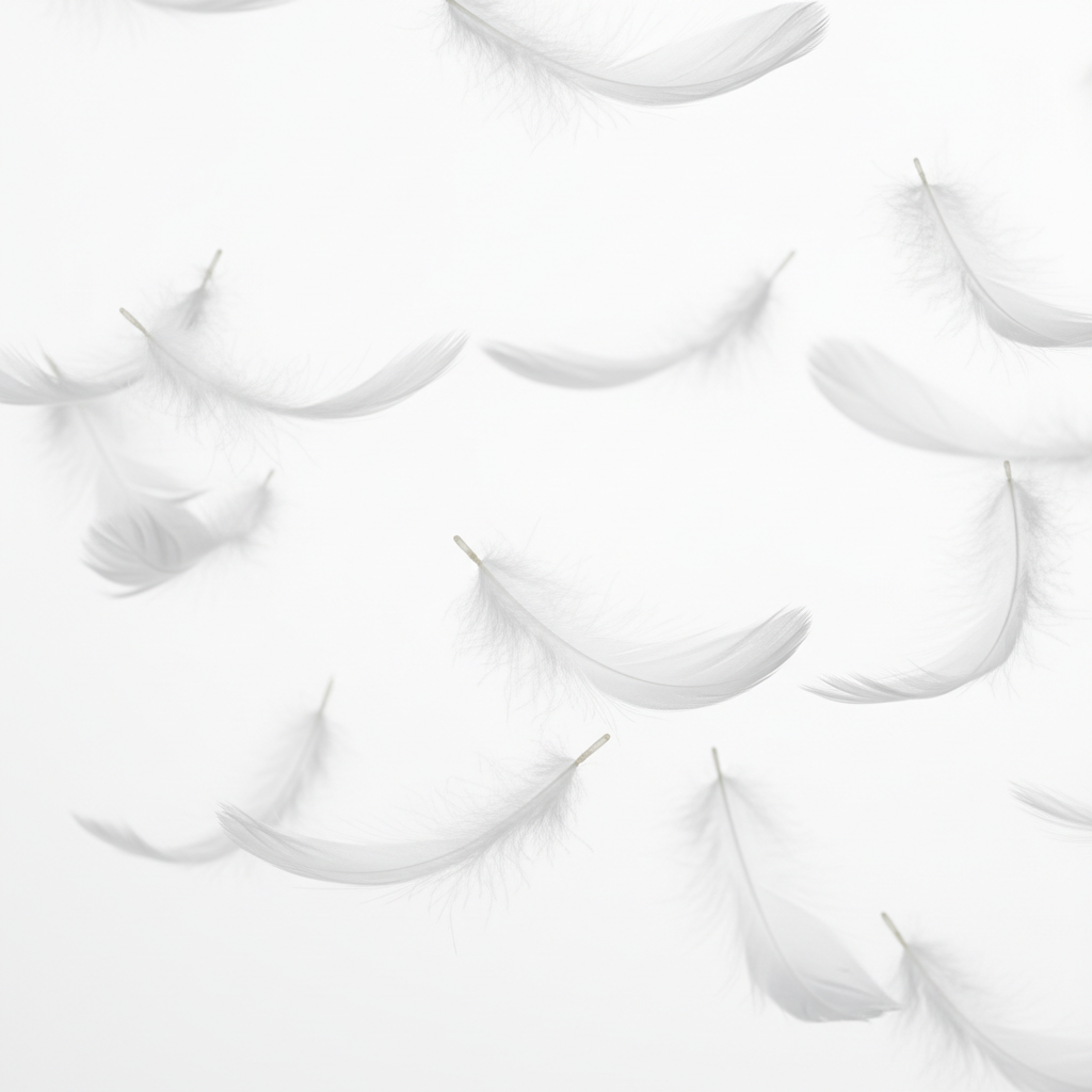 FEATHER INNER 65cm x 65cm
