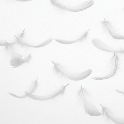 FEATHER INNER 65cm x 65cm