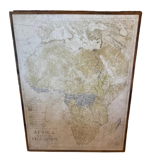 VINTAGE STYLE AFRICA MAP