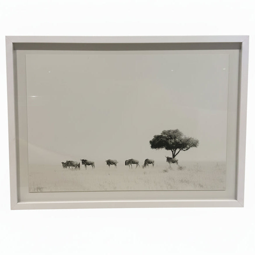 WILDEBEEST WITH ACACIA FRAMED
