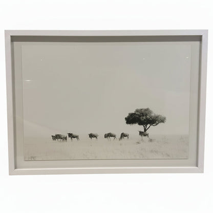WILDEBEEST WITH ACACIA FRAMED